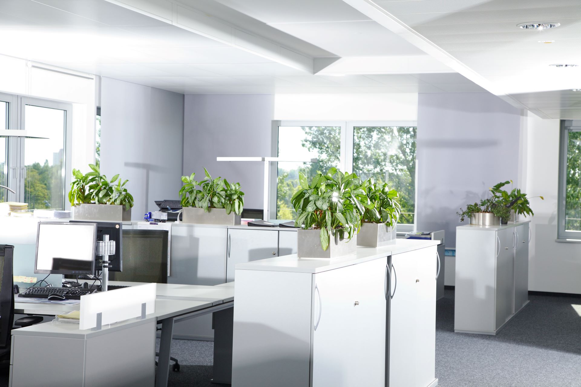 Resume Writing Services Manningham SA